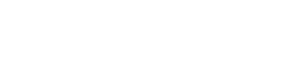Surrey Fireworks